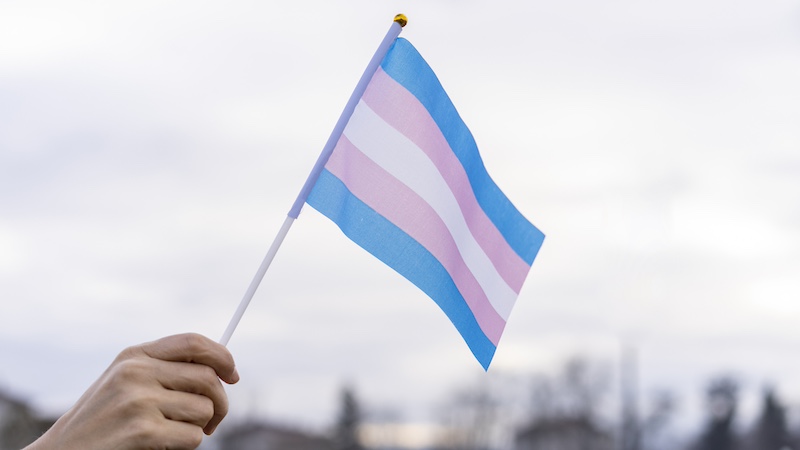 Hand waving transgender flag