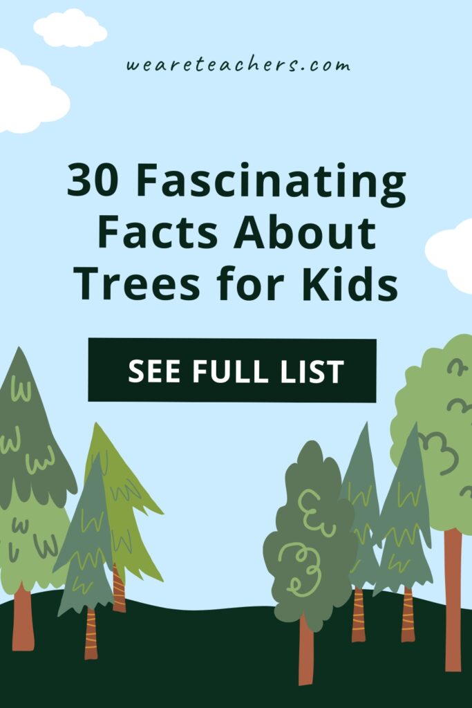 These facts about trees are great for sharing during a science lesson. Your students will be amazed with these fascinating foliage facts!