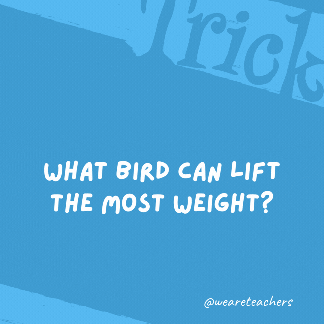 What bird can lift the most weight? A crane.- trick questions
