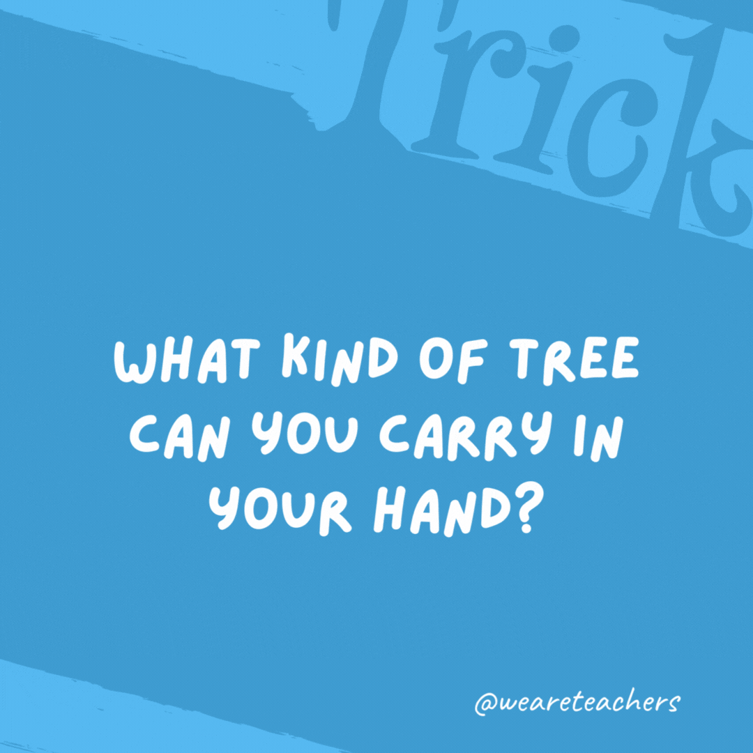 What kind of tree can you carry in your hand?

A palm tree.