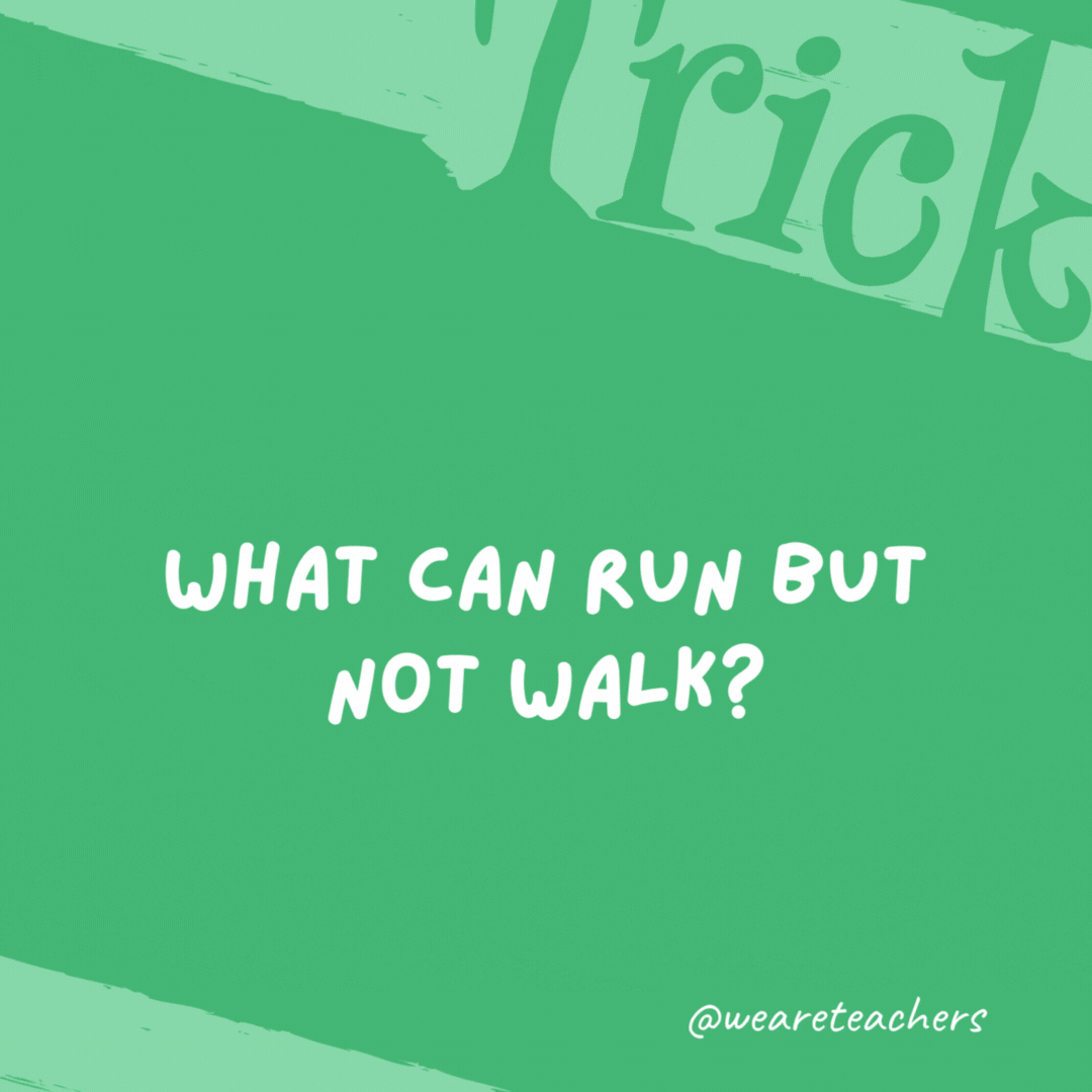 What can run but not walk?

A river.