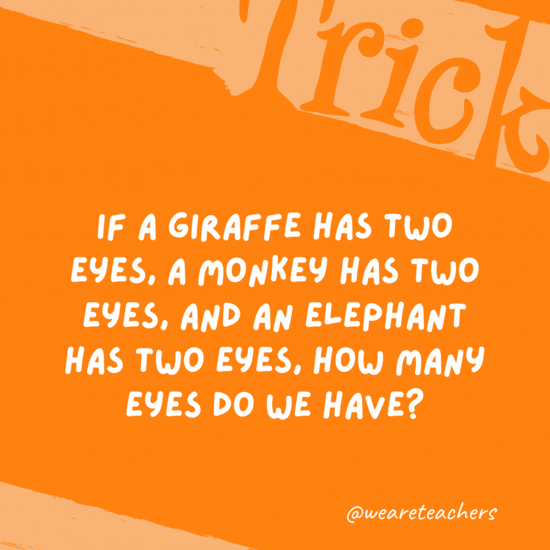 If a giraffe has two eyes, a monkey has two eyes, and an elephant has two eyes, how many eyes do we have? Four eyes. Assuming the person asking the question has two eyes and the person being asked has two eyes, the total is four.- trick questions