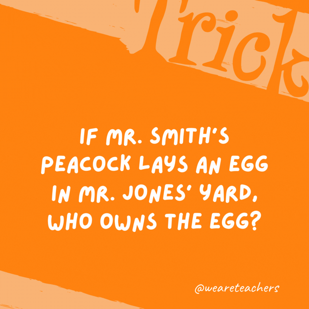 If Mr. Smith’s peacock lays an egg in Mr. Jones’ yard, who owns the egg? 

Neither. Peacocks don’t lay eggs, peahens do.