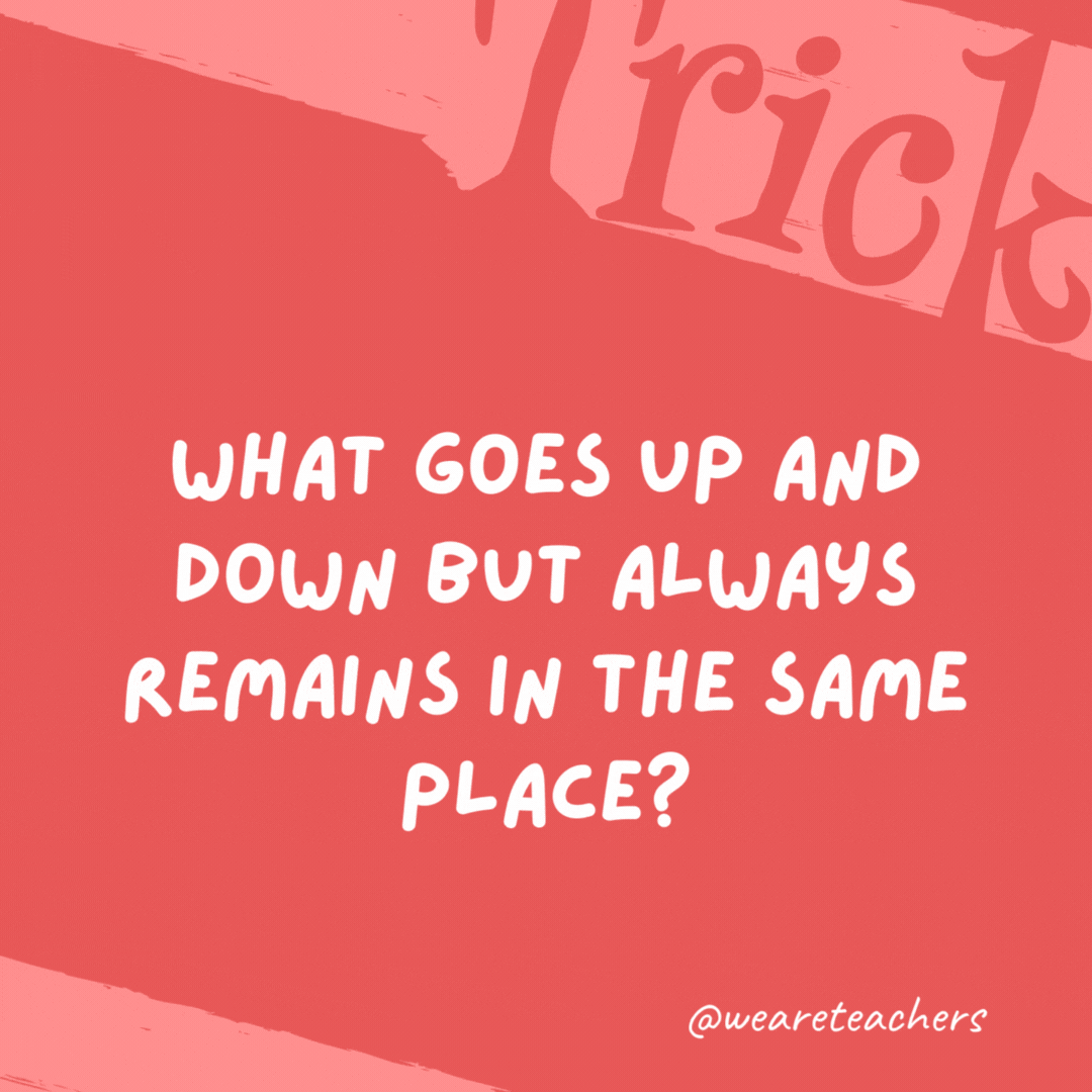 What goes up and down but always remains in the same place? Stairs.- trick questions