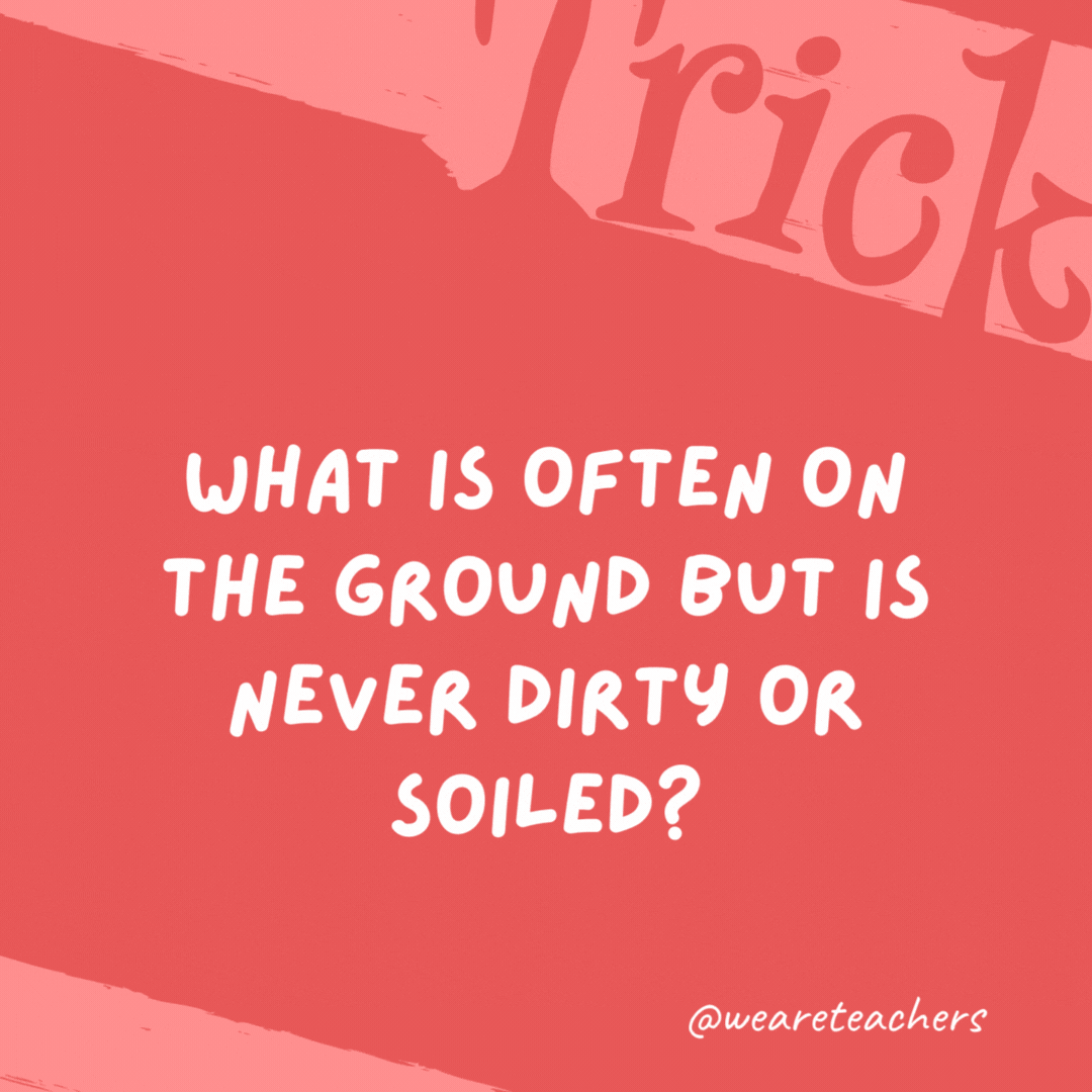 What is often on the ground but is never dirty or soiled?

A shadow.