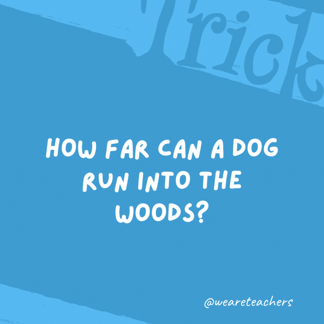 How far can a dog run into the woods?

Only halfway. After that, he’s running out of the woods.