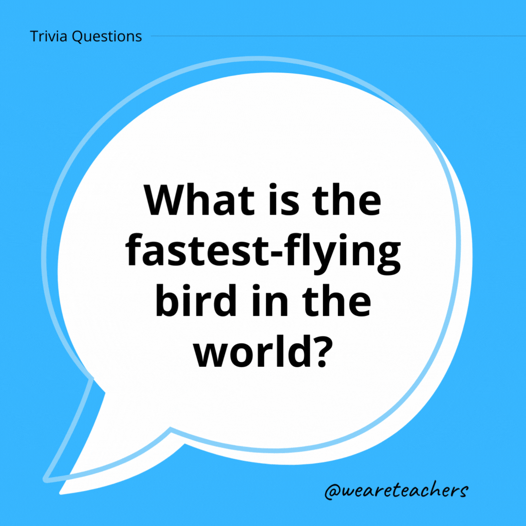 What is the fastest-flying bird in the world?