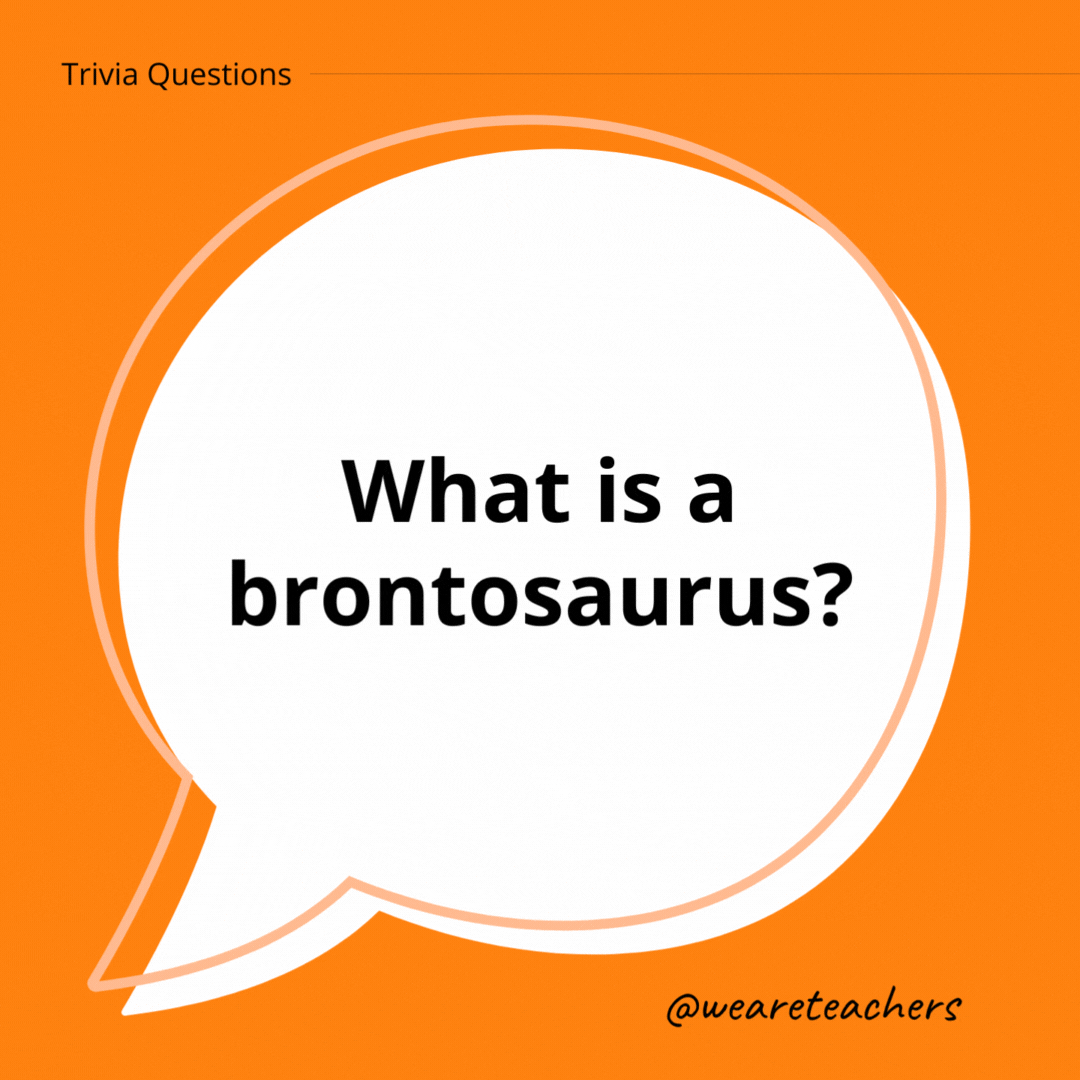 What is a brontosaurus?