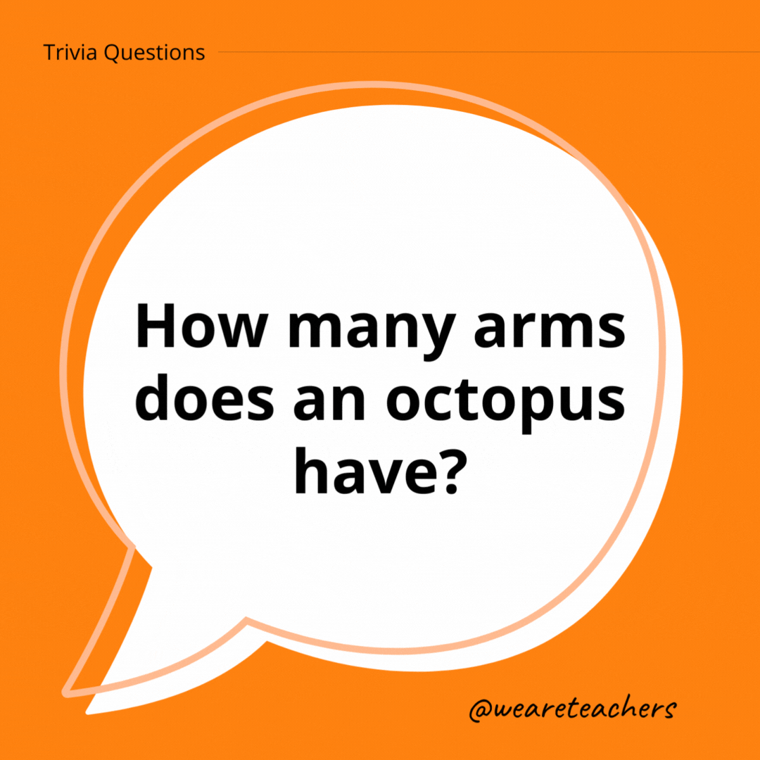How many arms does an octopus have?