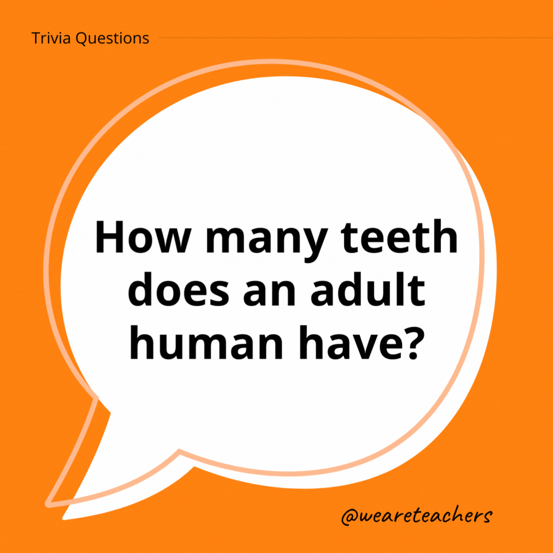 How many teeth does an adult human have? 