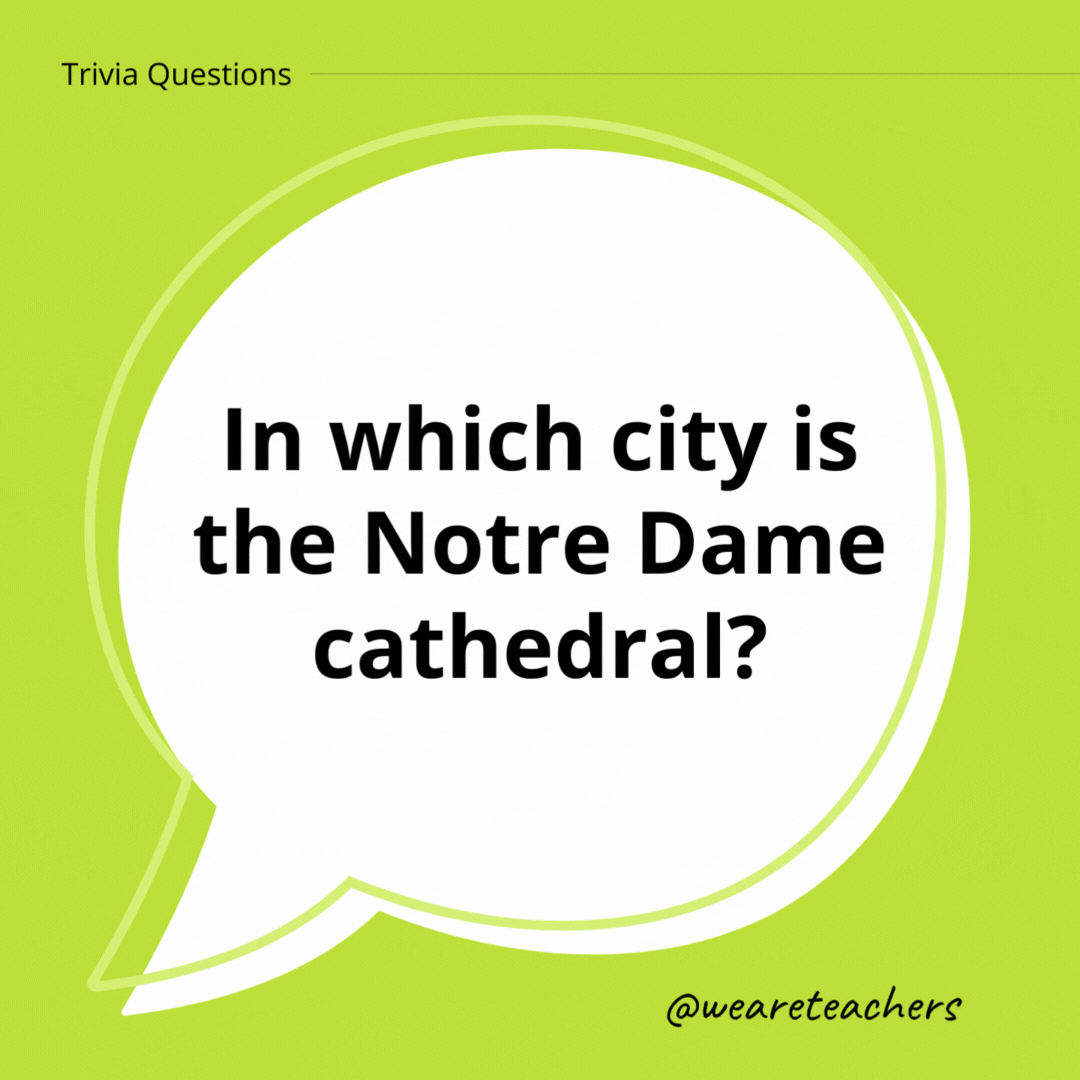 In which city is the Notre Dame cathedral?