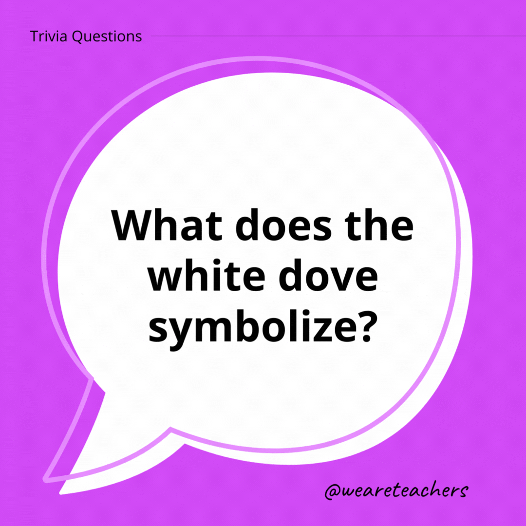 What does the white dove symbolize?