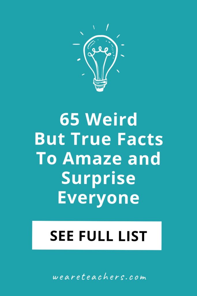 Want to shock and amaze your students? We've put together this list of weird fun facts to share in the classroom!