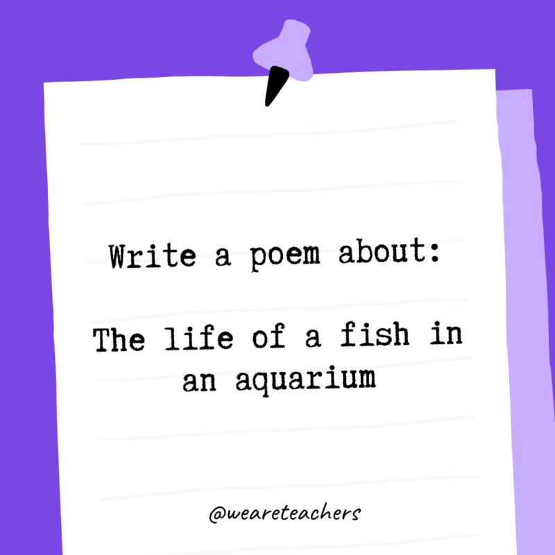 Write a poem about: The life of a fish in an aquarium.