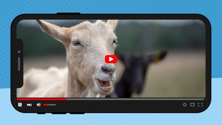 phone showing funny kids video of a laughing goat.