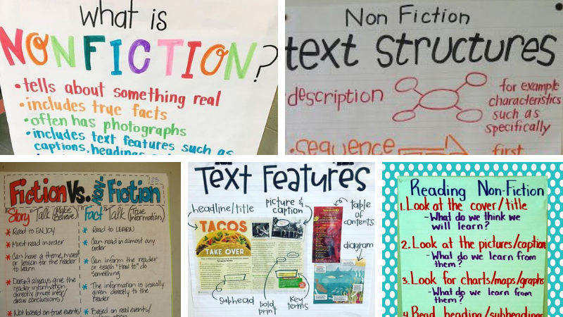 Nonfiction anchor charts