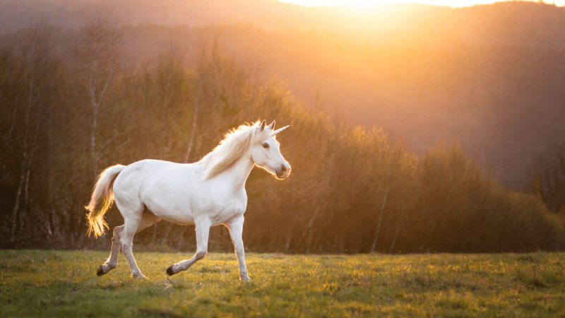 Photo of a unicorn running through a field