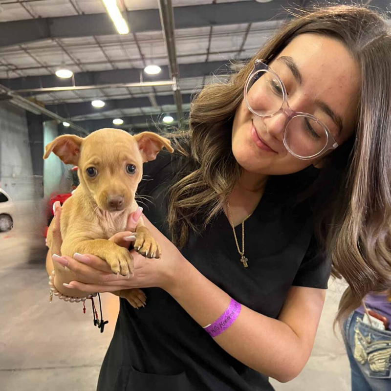 Teen girl holding a small puppy as part of Mutt-i-grees resources
