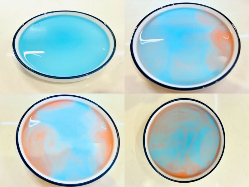 Ocean Activities for Kids a science experiment that shows with blue and red water in a shallow dish how ocean currents work