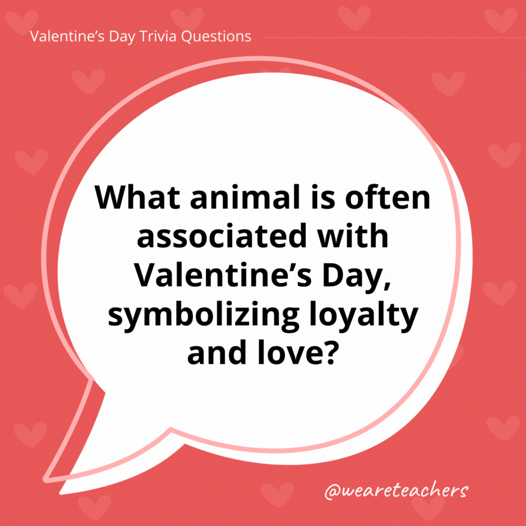 What animal is often associated with Valentine's Day, symbolizing loyalty and love?

Doves.