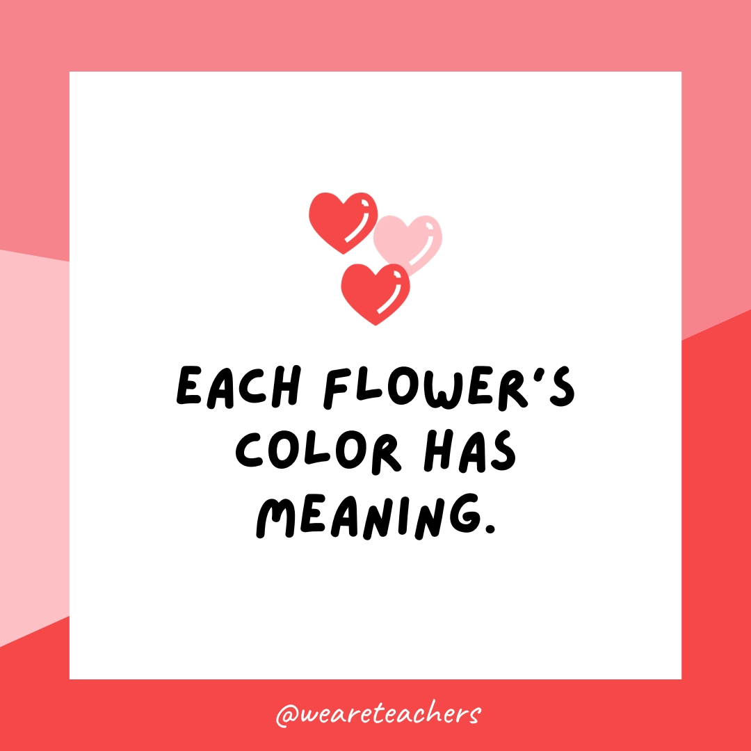 प्रत्येक फूल के रंग का एक अर्थ होता है। 