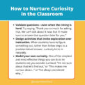 How To Teach Curiosity in the Classroom—And Why You Should - We Are ...