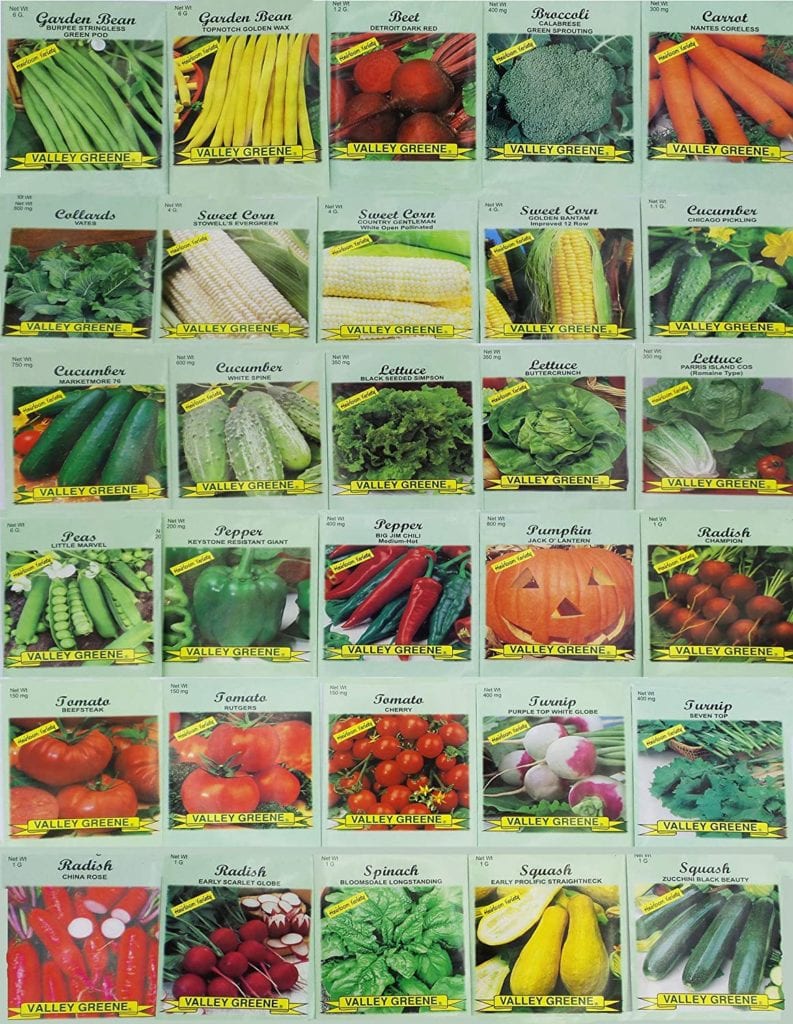 20 Free or Inexpensive Surprises You Can Send Students in the Mail Vegetable seeds
