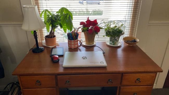 Brown desk covered with laptop, plants and flowers for teaching at home