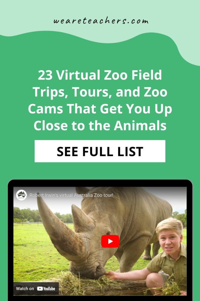 These virtual zoo field trips help kids explore wildlife and get the zoo experience without leaving the house or classroom!
