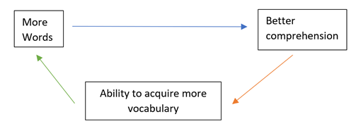 Chart showing how vocabulary development enhances comprehension which in turns helps us acquire new words