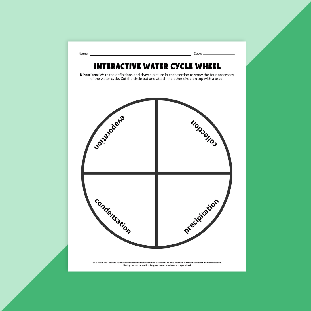 Image of the graphic organizer on the water cycle.