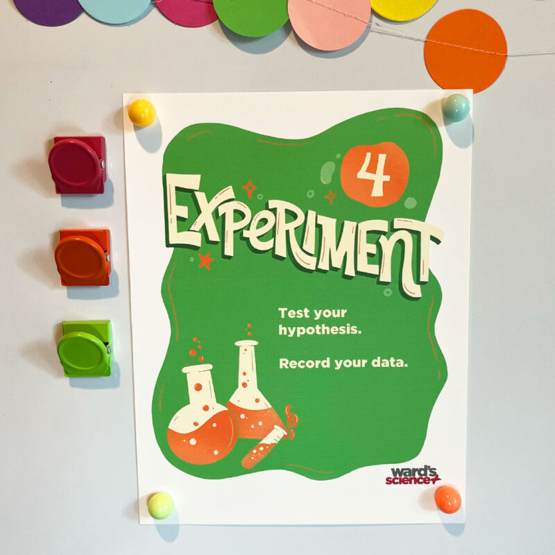 thumbnail image 2 of The Scientific Method Mini Posters Set - Educational Classroom Decor For Science Teachers 2 of 9