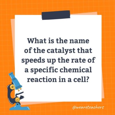 60 Science Trivia Questions and Answers for Kids