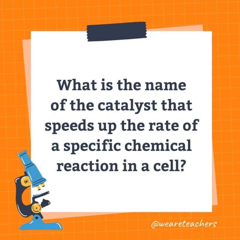 What is the name of the catalyst that speeds up the rate of a specific chemical reaction in a cell?