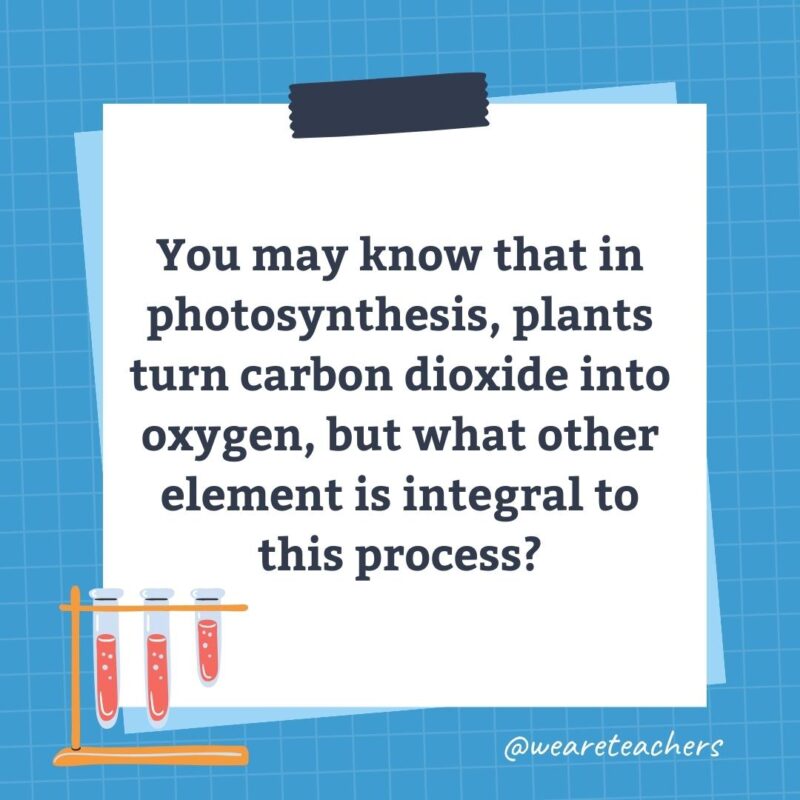 You may know that in photosynthesis, plants turn carbon dioxide into oxygen, but what other element is integral to this process?