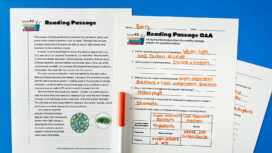 Photosynthesis Worksheets for Middle + High School. Free to Print!