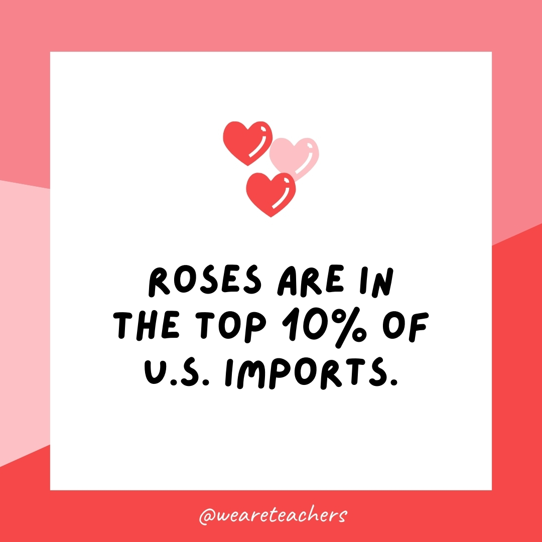 WeAreTeachers_Article_Valentines Day Facts_Image 40 Roses are in the top 10% of U.S. imports.