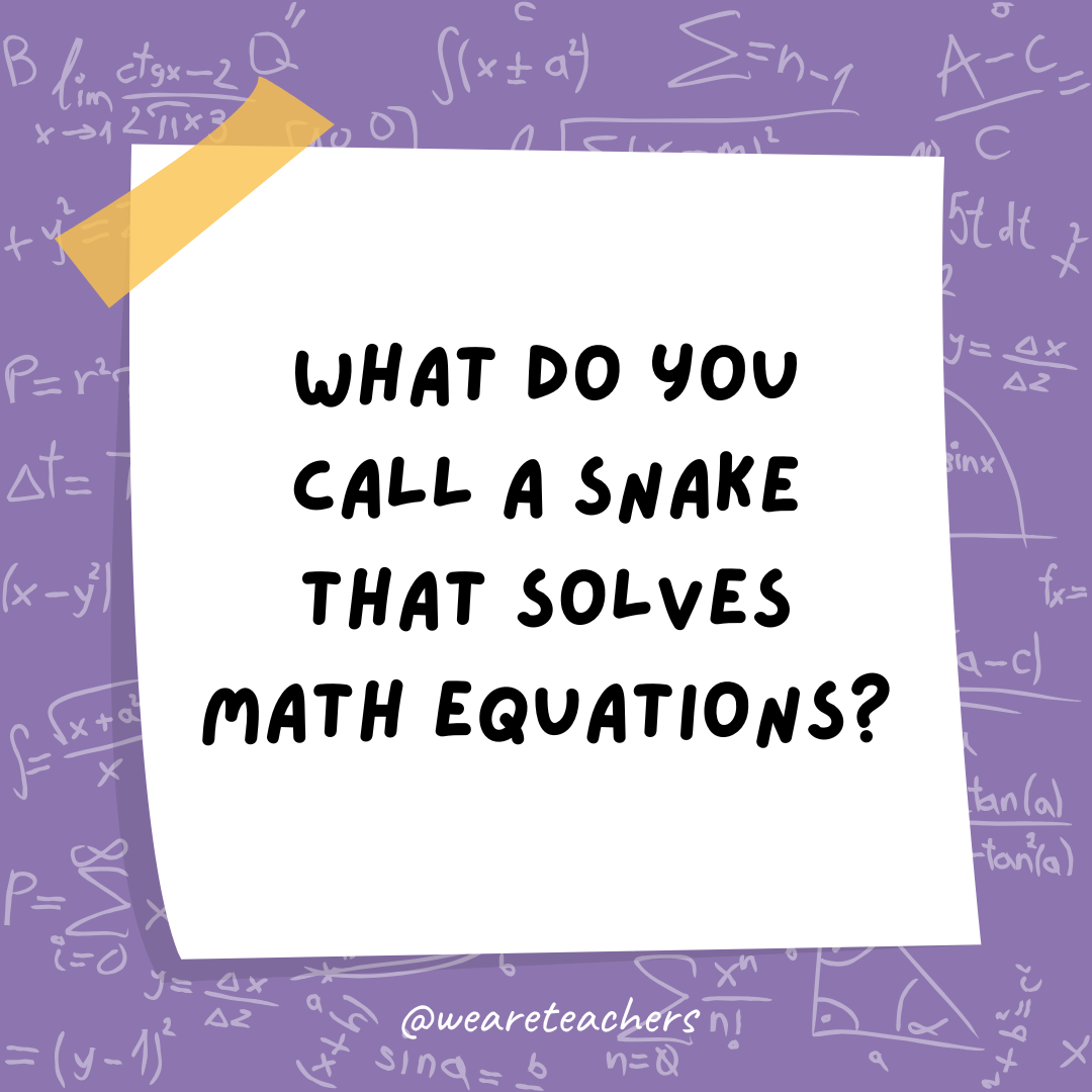 Math Jokes What do you call a snake that solves math equations?