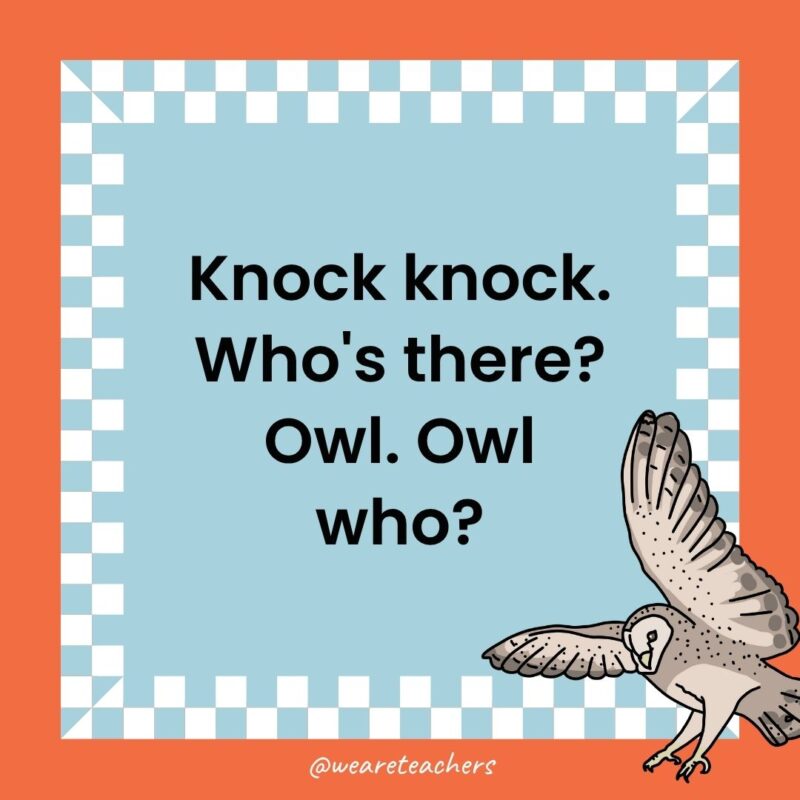 Owl Jokes for Kids a joke that states: Knock knock. Who's there? Owl. Owl who?