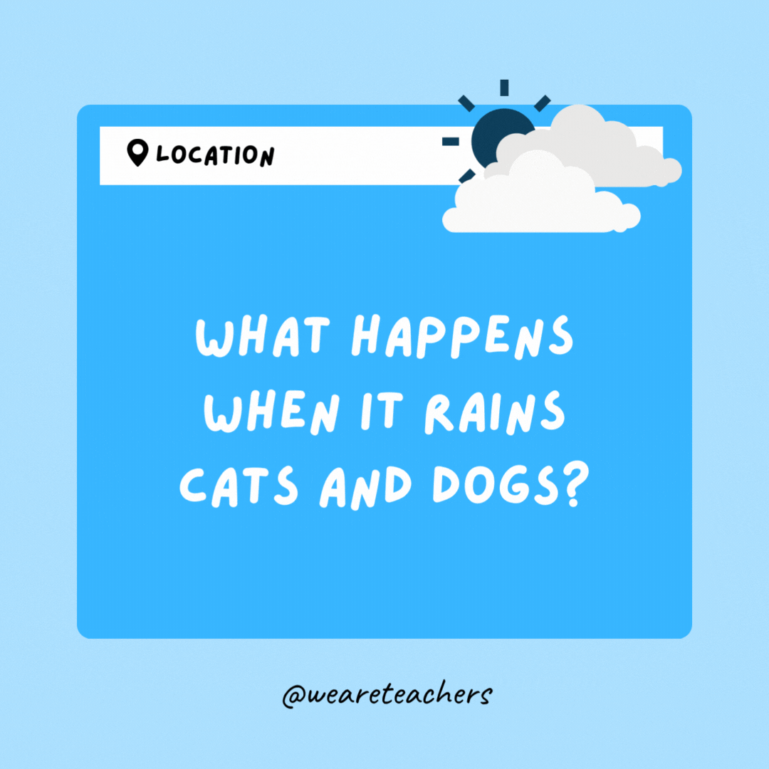 What happens when it rains cats and dogs? You have to be careful not to step in a poodle.- Weather Jokes
