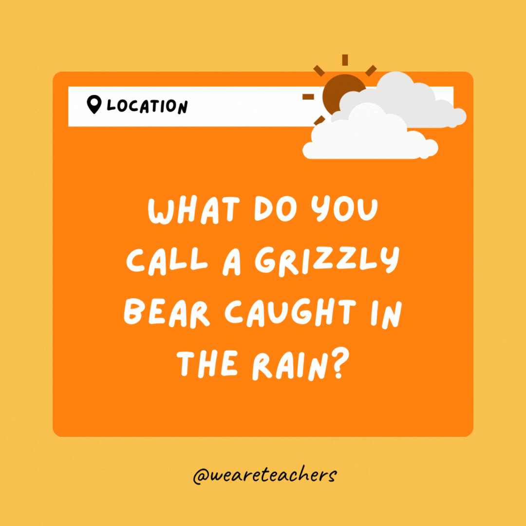 What do you call a grizzly bear caught in the rain? A drizzly bear.