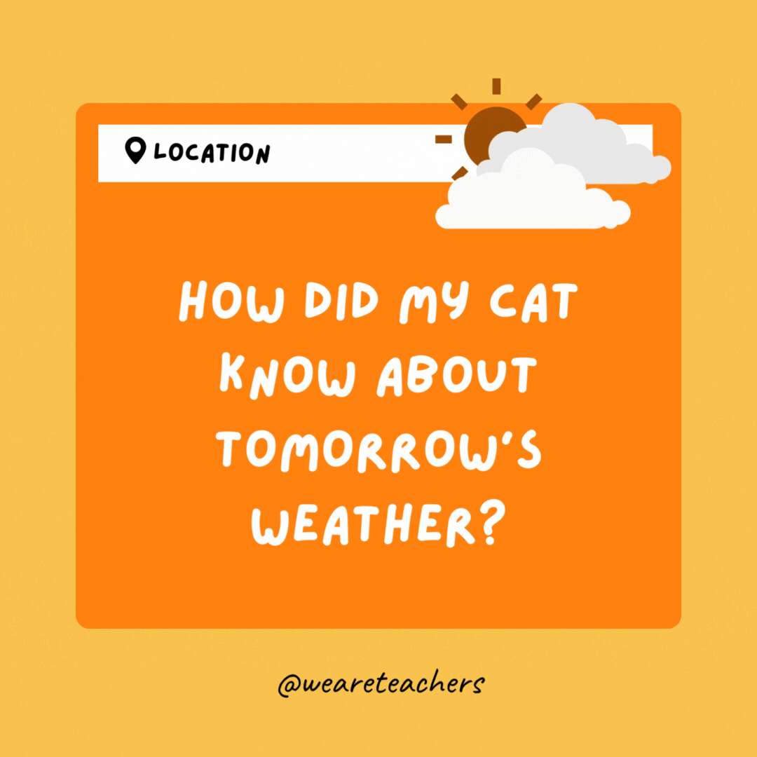 How did my cat know about tomorrow's weather? He looked at the fur-cast.