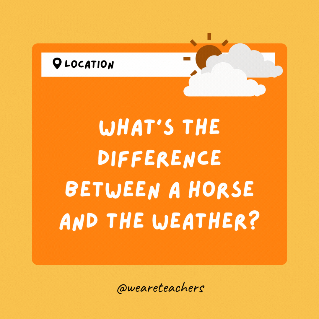 What's the difference between a horse and the weather? One is reined up and the other rains down.