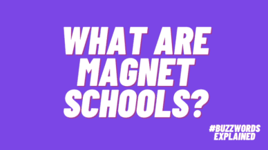 What are magnet schools?