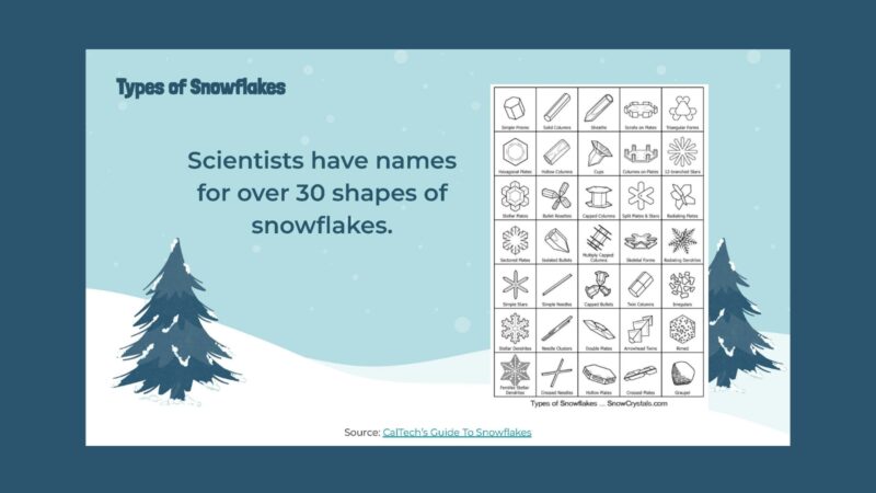 Slide with images and information about how scientists have names for over 30 types of snowflakes.