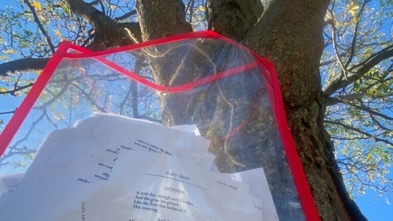 Photo of teacher Steffy McCourt's story walk