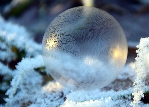 Frozen soap bubble sitting on snowy branches