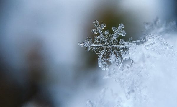 Microscopic closeup of a single snowflake