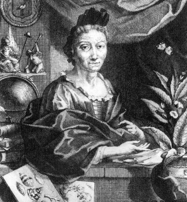 Women Scientists Maria Sibylla Merian