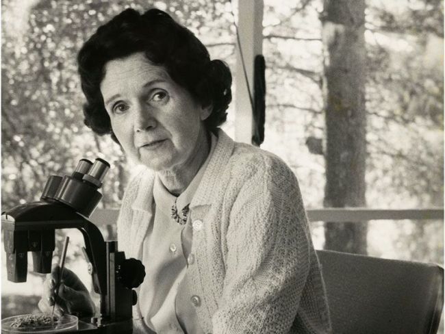 Women Scientists Rachel Carson Alfred Eisenstaedt National Portrait Gallery